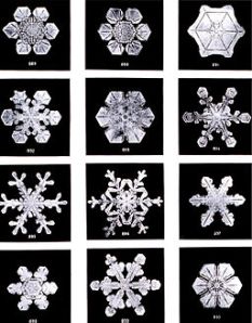 Snowflakes by Wilson Bently